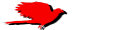 Parrot